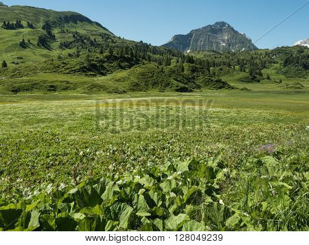 A view of Alpine mountains surrounding the village Schocken in Bregenzerwald region Vorarlberg Austria