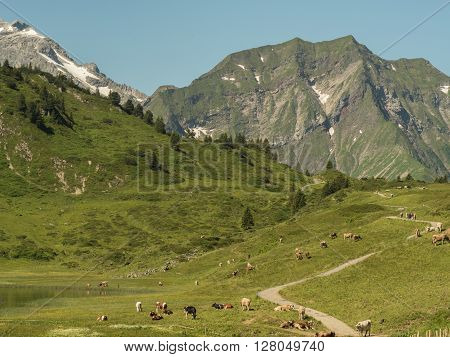 A view of Alpine mountains surrounding the village Schocken in Bregenzerwald region Vorarlberg Austria