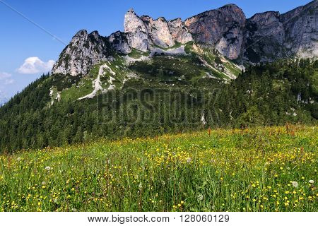 Mountain alpine meadow with wildflowers in the Rofan mountains. Austria Tirol.