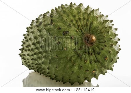 Exotic Tropical fruit - Soursop (Annona muricata)