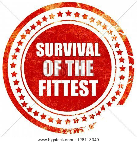 survival of the fittest, red grunge stamp on solid background