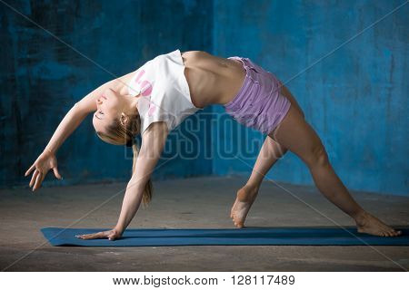 Beautiful Sporty Young Woman Doing Camatkarasana Posture