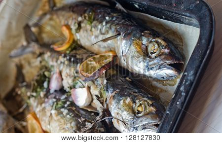 excellent fresh blue fish for a healthy diet freshly cooked with olive oil lemon and herbs