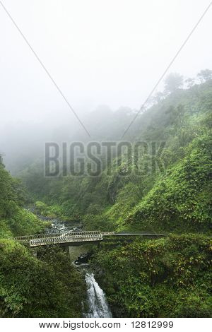 Köd-vízesés, az út a Hana, Hana Highway, Hawaii, Amerikai Egyesült Államok fent.