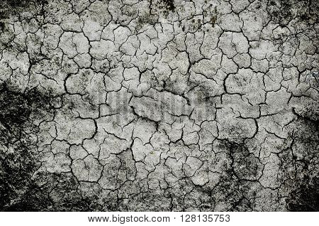 Dry soil background b&w - cracked earth