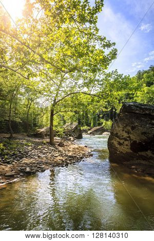 Cumberland River in Daniel Boone National Forest in Southern Kentucky