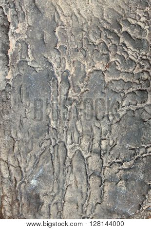 Texture, an old leather cover of a book
