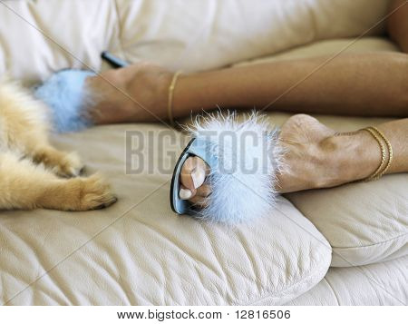 ยิงเท้าของ Caucasion ผู้หญิงวัยกลางคนสวมขนยาวส้นข้างสุนัข paws ทั้งนอนอยู่บนโซฟา