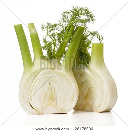 Fresh fennel bulb isolated on white background close up