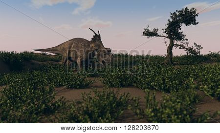 3d illustration of grazing achelousaurus 
