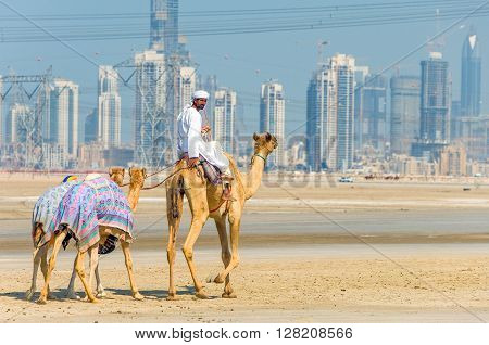 Dubai U.A.E. - February 18 2007: A camel racing trainer in the outskirts of the city