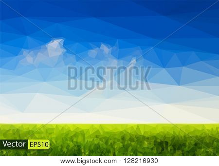 Vector low poly beautiful sky and green grass field