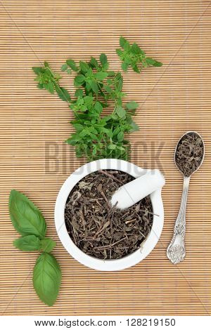 Fresh basil herb varieties with dried tusli holy basil in a mortar with pestle and silver spoon used in natural herbal medicine over bamboo background.