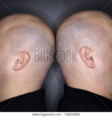 Close-up de caucasianos meados gêmeo adultos homens calvos permanente voltar para trás.