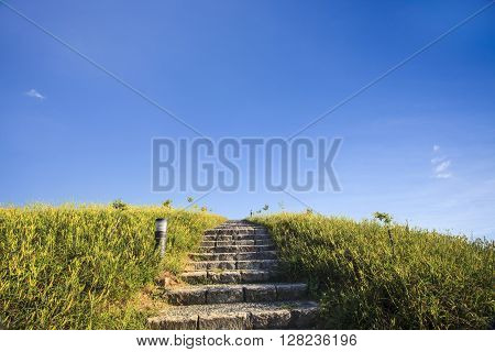 Beautiful Landscape With Nice Background Color