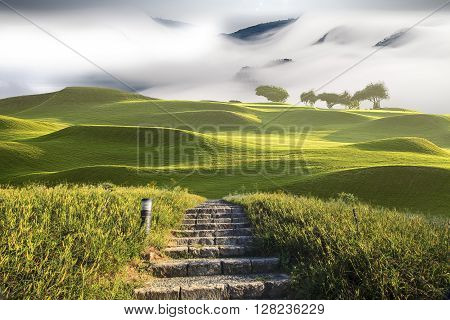 Beautiful Landscape With Nice Background Color