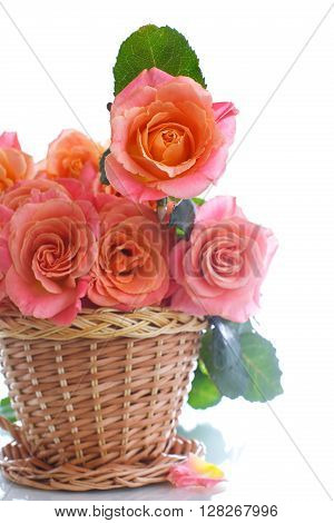 bouquet of pink roses isolated on white