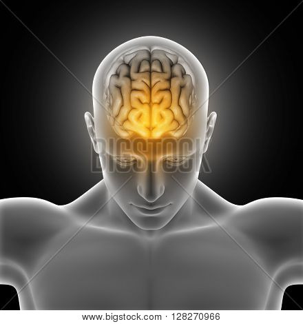3D render of a medical image of a male figure with brain highlighted