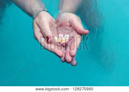 holding a flower in water with heart shape hands