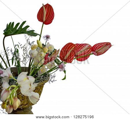 Isolated Bouquet Of Anthurium Flowers