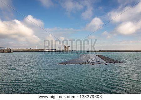 Farm and device that are engaged in cultivation of mussels.