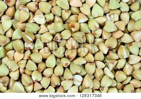 Close up background of green buckwheat closeup