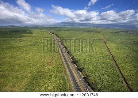 Veduta aerea della strada passando attraverso campi di terreno agricolo in Maui, Hawaii.