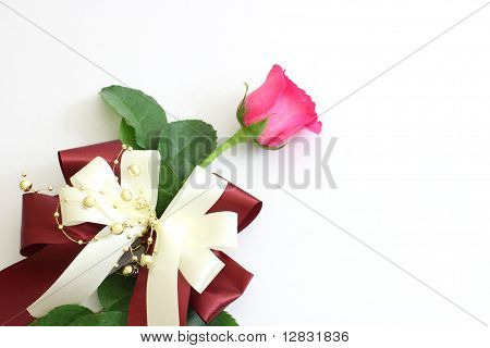 Rose rosa med en röd rosett