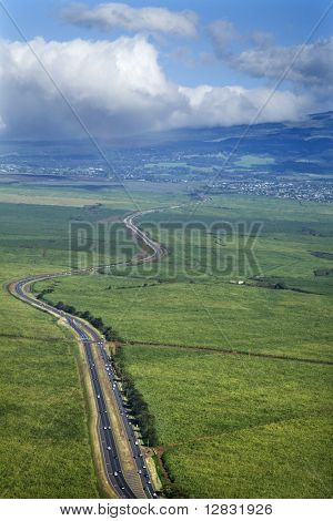 Taglio strada attraverso campi coltivati in Maui, Hawaii rurale.