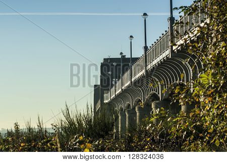 Kincardine Bridge emerging from surrounding trees and bushes
