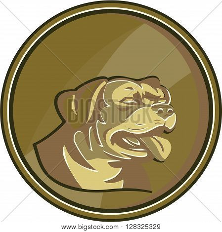 Illustration of a Rottweiler Metzgerhund mastiff-dog guard dog head viewed from the side set inside circle gold medallion done in retro style.