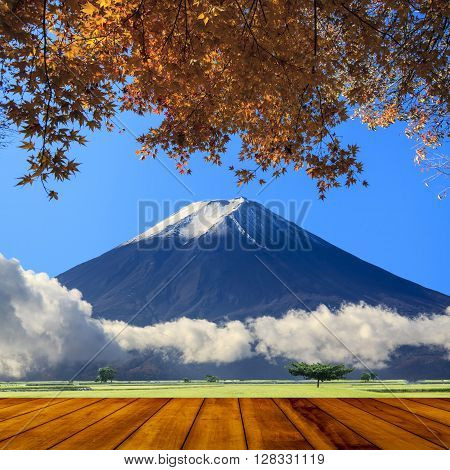 Beautiful Landscape With Nice Background Color