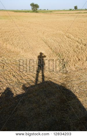 Ombra di standing figura sull'apparecchiatura dell'azienda agricola che si affaccia sul terreno agricolo raccolto.