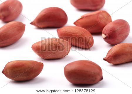 Peanut Kernels