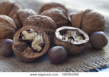 Opened walnut in the foreground. Near several walnuts and hazelnuts. Burlap on a table of black wood. Close-up. Horizontal shot.