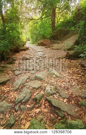 Trail, bright summer photo Yalta Crimea