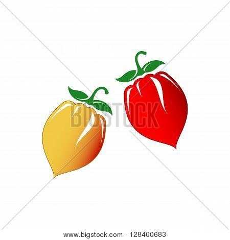Hot chilli pepper vector set isolated on white background. Red and yellow.