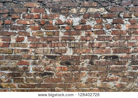 Old brick wall in a background image
