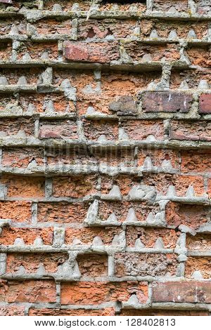Old brick wall in a background image