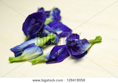 Butterfly pea or Blue pea flowers (Science name Clitoria ternatea L. other names are Orchid Station Orchid travel) isolated on wooden background