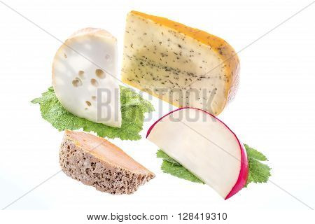 assortment of resh chesse from holland cheeses
