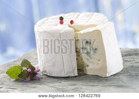 French blue  Bresse Bleu traditional frenche cheese