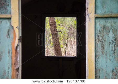 Old ruined wooden tourist cabins in the woods