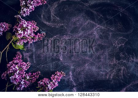Bouquet of lilac flowers on black background