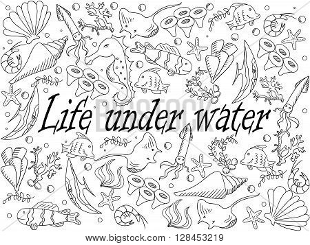 Life under water coloring book line art design vector illustration. Sea bottom separate objects. Hand drawn doodle design elements.