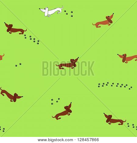 Seamless pattern with dachshund dogs. The pattern for packing of gifts, tiles fabrics backgrounds. Sample for the website. Vector illustration.
