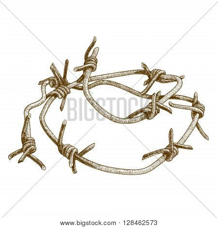 Vector antique engraving illustration of barbed wire isolated on white background