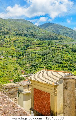 Landscape with vines on the hillside in the National park of Cinque Terre, Italy