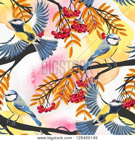 Tomtit and rowan vector seamless background with watercolor blots