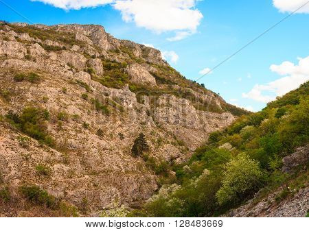 View of Val Rosandra in the Karst region